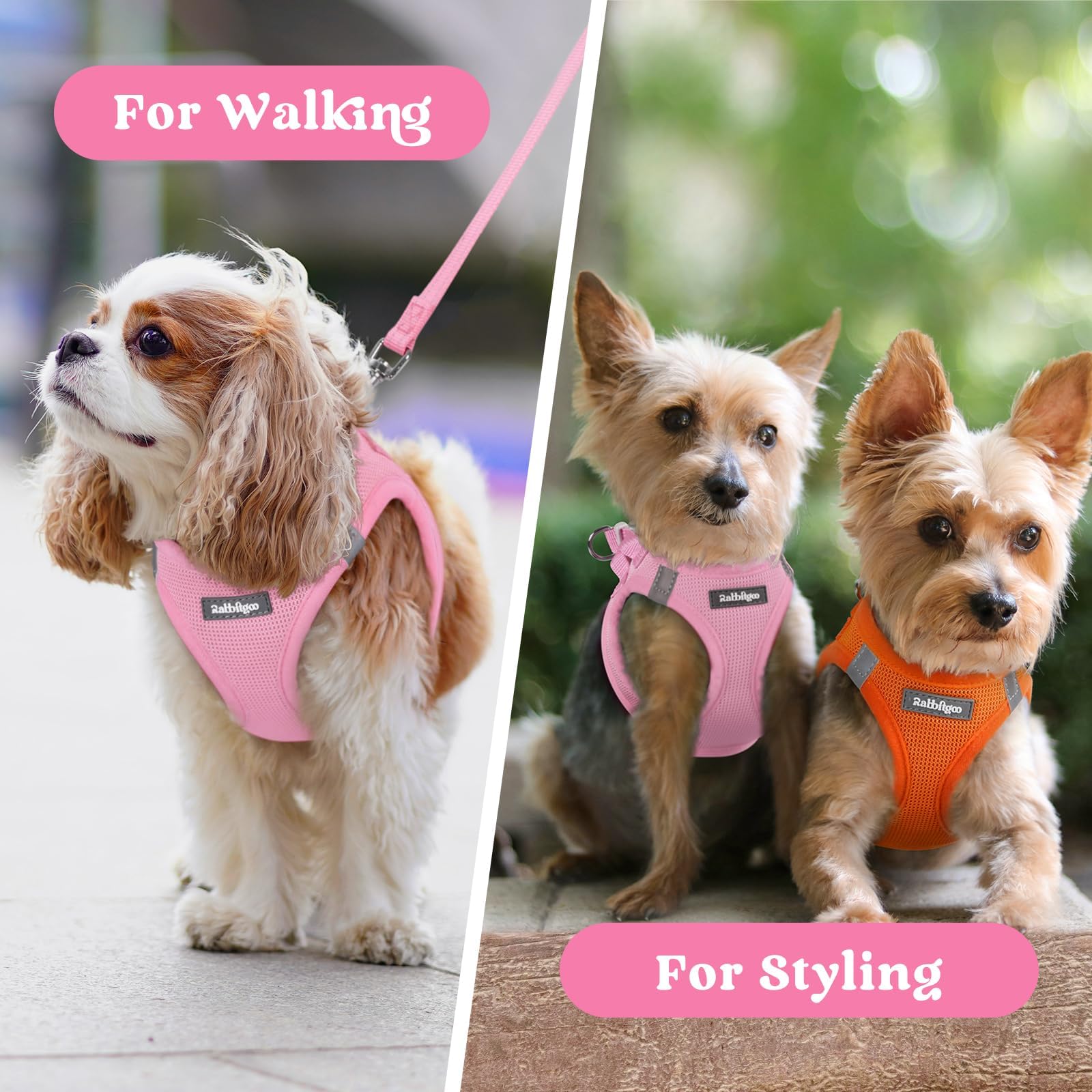 rabbitgoo Step-In Small Dog Harness shown in vibrant color options.