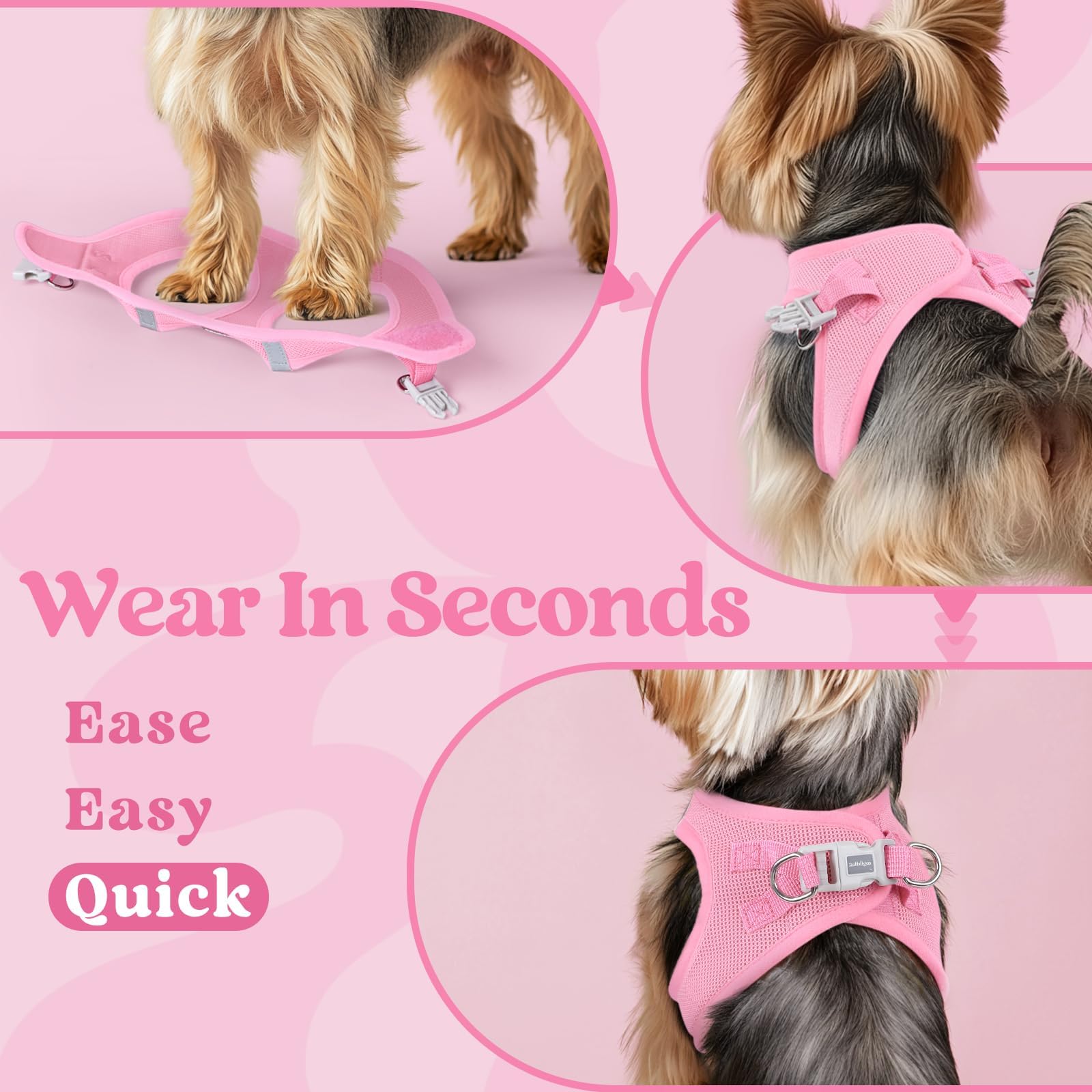 rabbitgoo Step-In Small Dog Harness with a close view of its D-ring attachment.