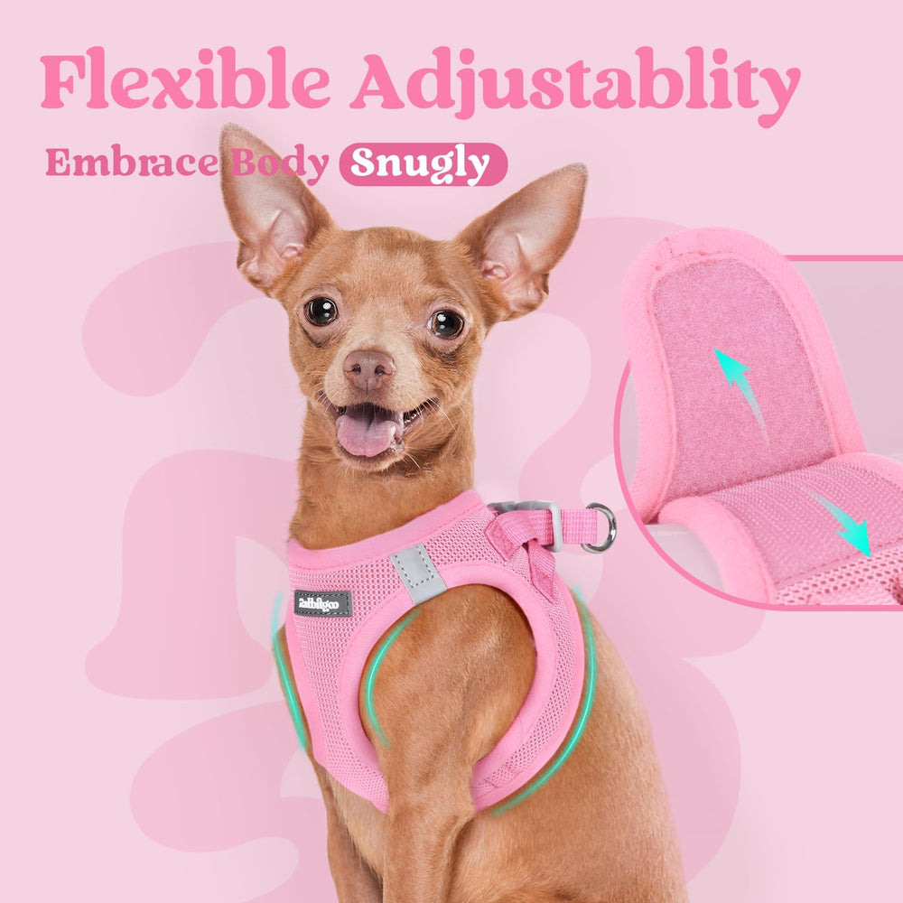 rabbitgoo Step-In Small Dog Harness worn by a small dog on a walk.