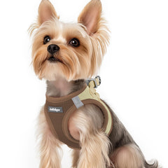 rabbitgoo Step-in Small Dog Harness shown from the front.