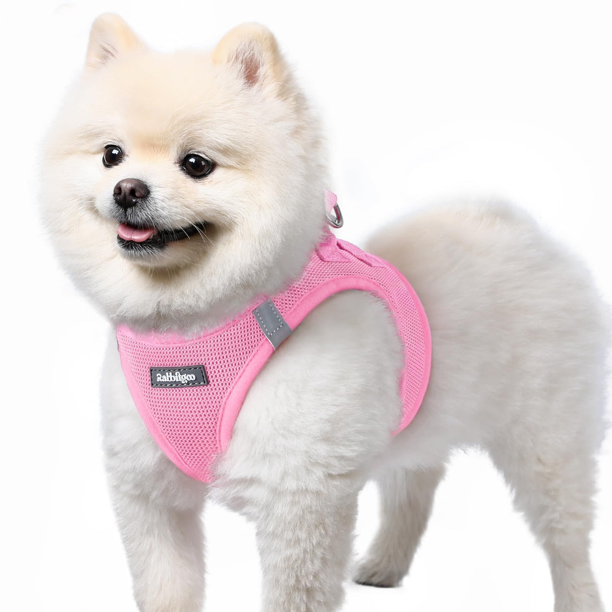rabbitgoo Step-In Small Dog Harness shown from the front.
