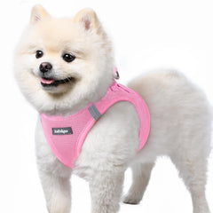 rabbitgoo Step-In Small Dog Harness shown from the front.