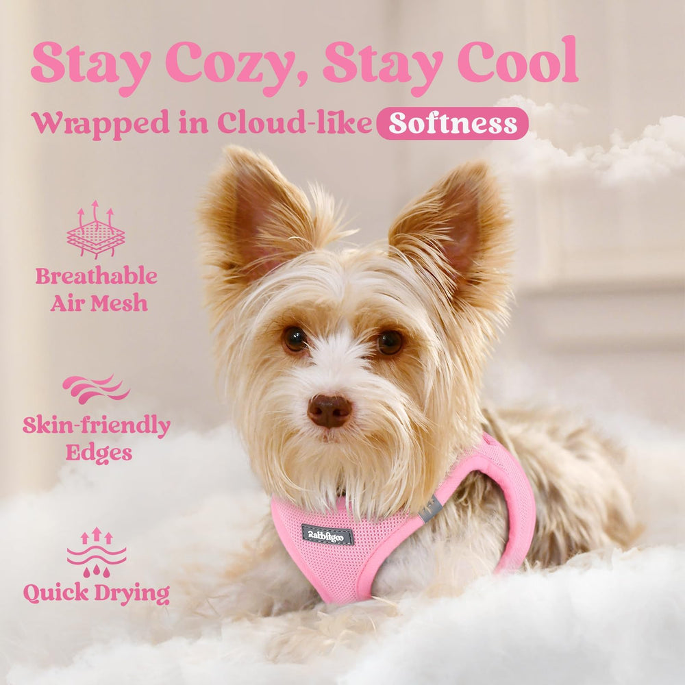rabbitgoo Step-In Small Dog Harness showing how a puppy steps into the vest.