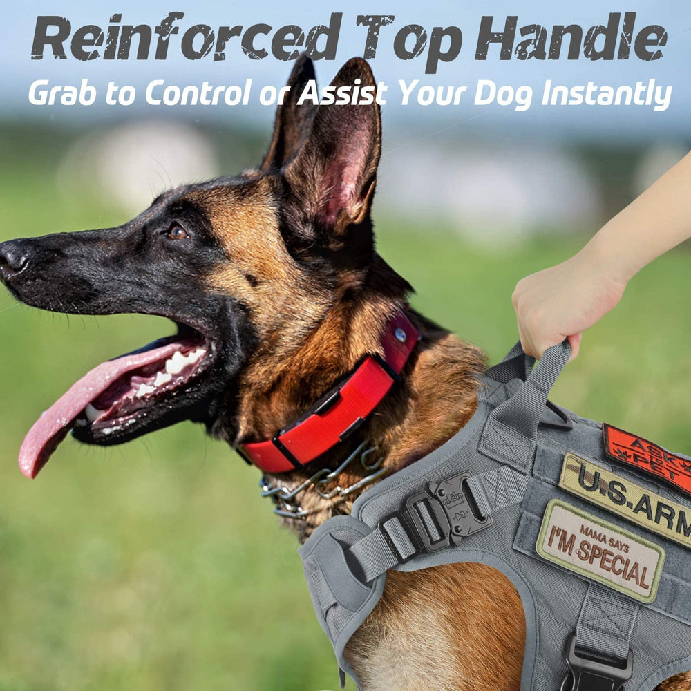 rabbitgoo tactical dog harness with its adjustable shoulder, chest and belly straps.