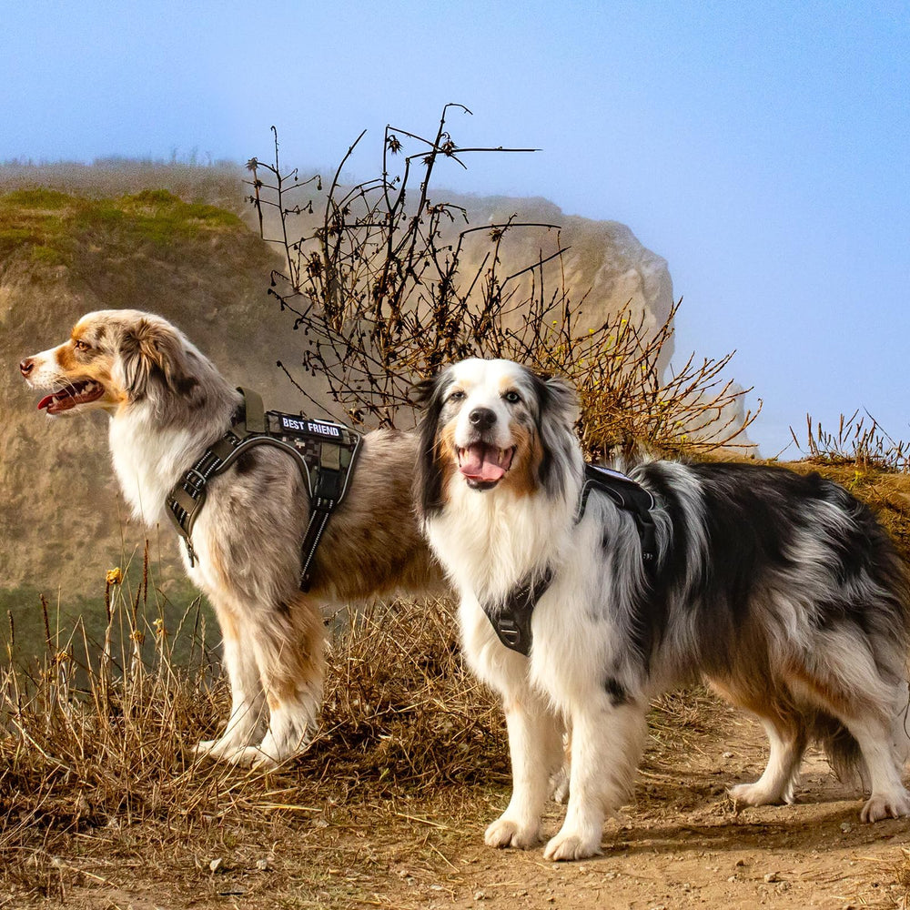 rabbitgoo Tactical Dog Harness adjustment points and quick-release buckles.