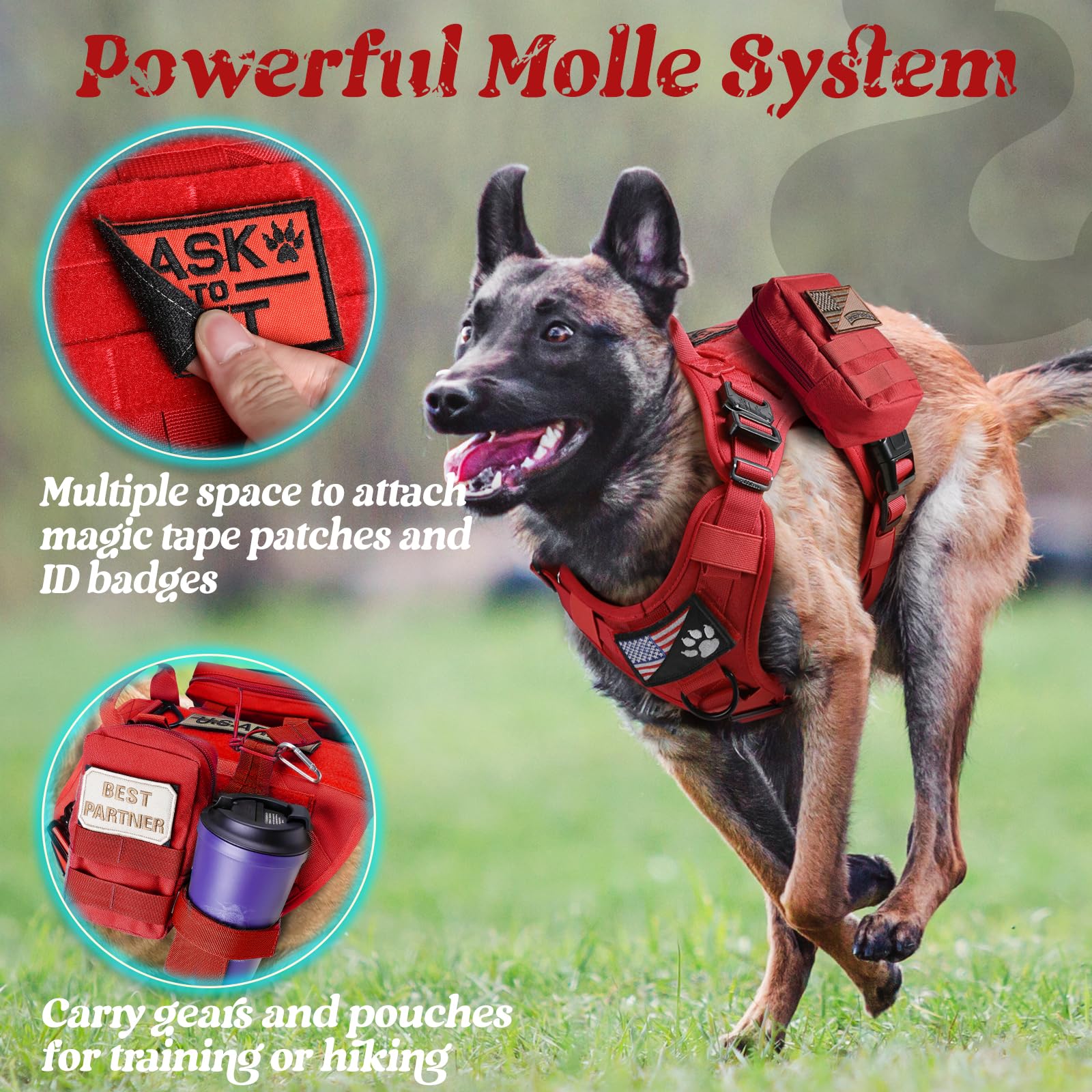 rabbitgoo Tactical Dog Harness showing its adjustable straps and quick-release buckles.