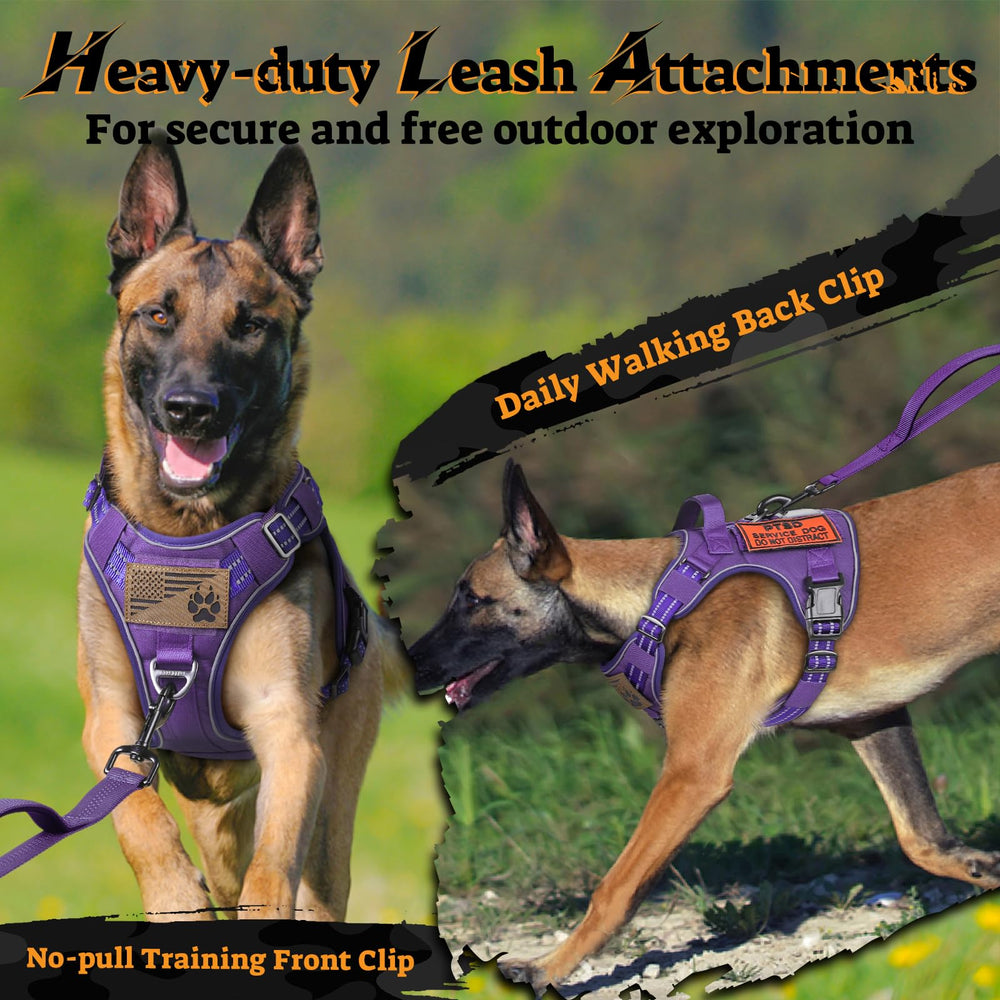 rabbitgoo Tactical Dog Harness chest buckles shown in close-up.
