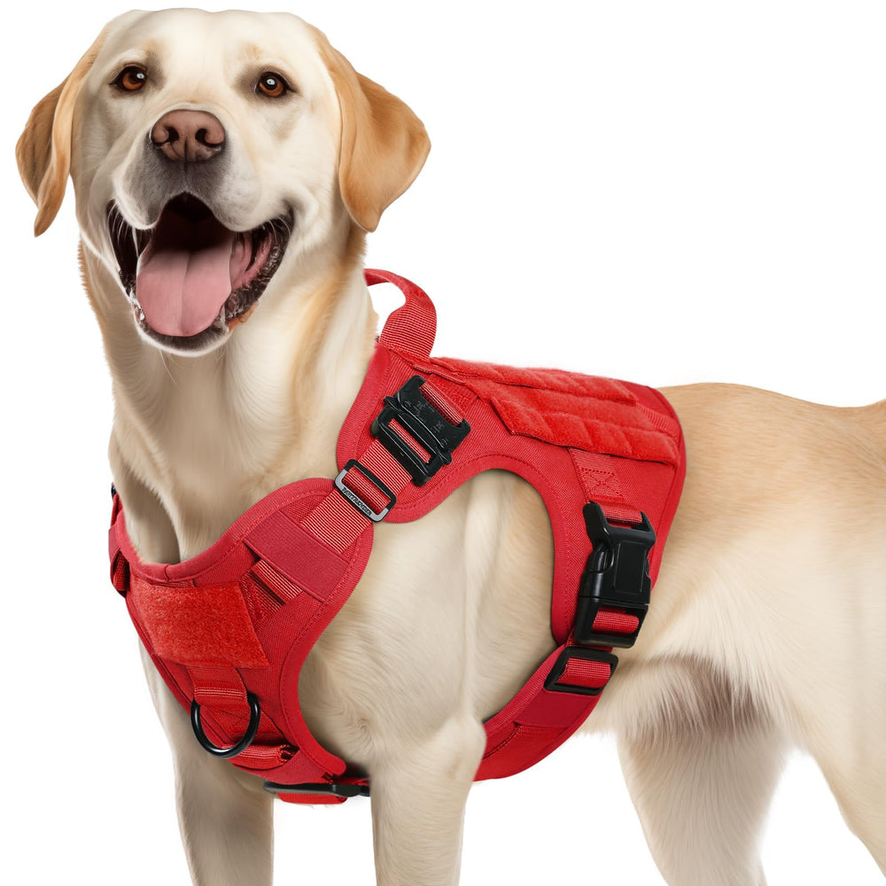 rabbitgoo tactical dog harness shown from the front.