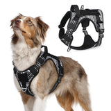 rabbitgoo Tactical Dog Harness shown from the front.