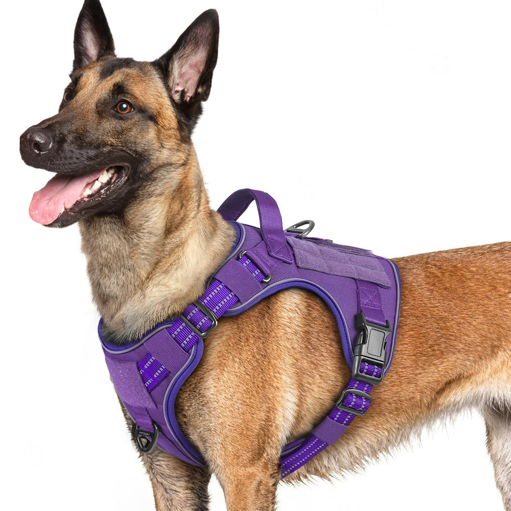 rabbitgoo Tactical Dog Harness shown from the front.