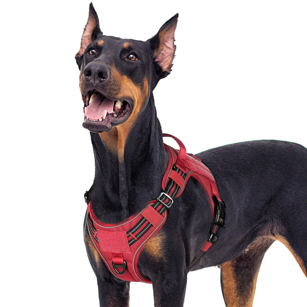 rabbitgoo Tactical Dog Harness shown from the front.