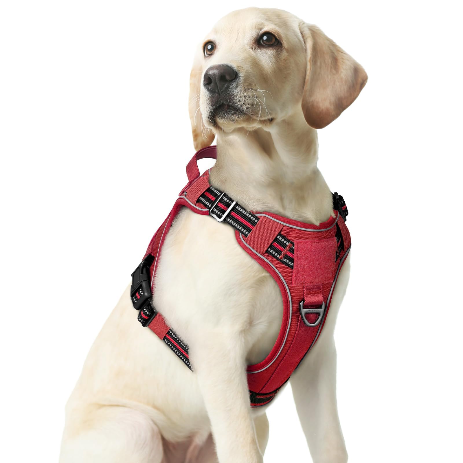 rabbitgoo Tactical Dog Harness shown from the front.