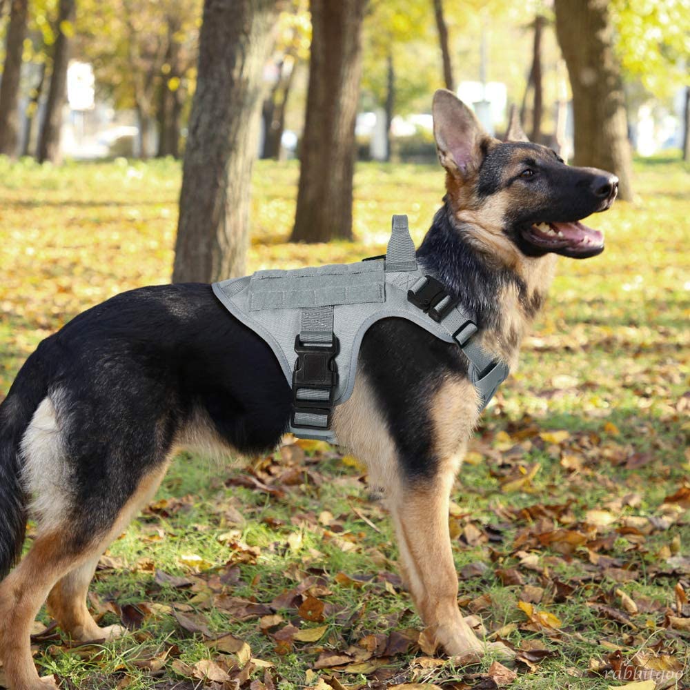 rabbitgoo tactical dog harness detail of the hook-and-loop panels for patches.