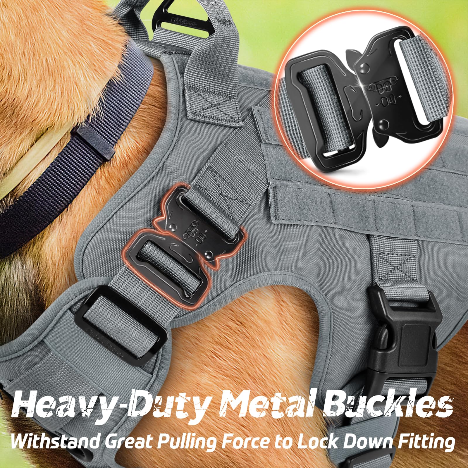 rabbitgoo tactical dog harness showing its front and back metal leash attachment points.