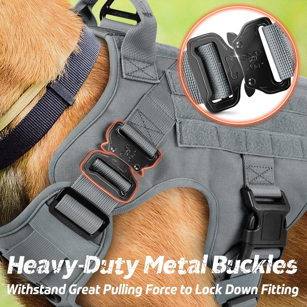 rabbitgoo tactical dog harness showing its front and back metal leash attachment points.