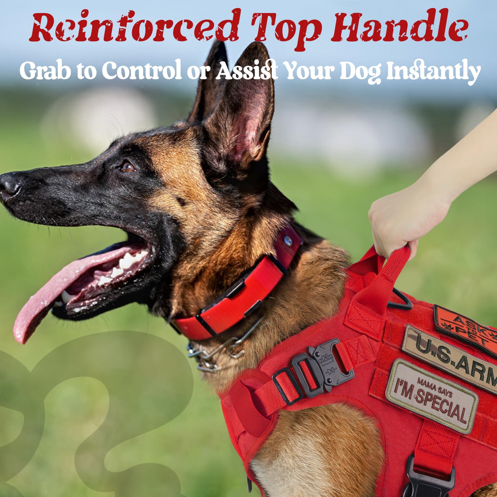 rabbitgoo Tactical Dog Harness side view showing MOLLE panels and Hook & Loop areas.