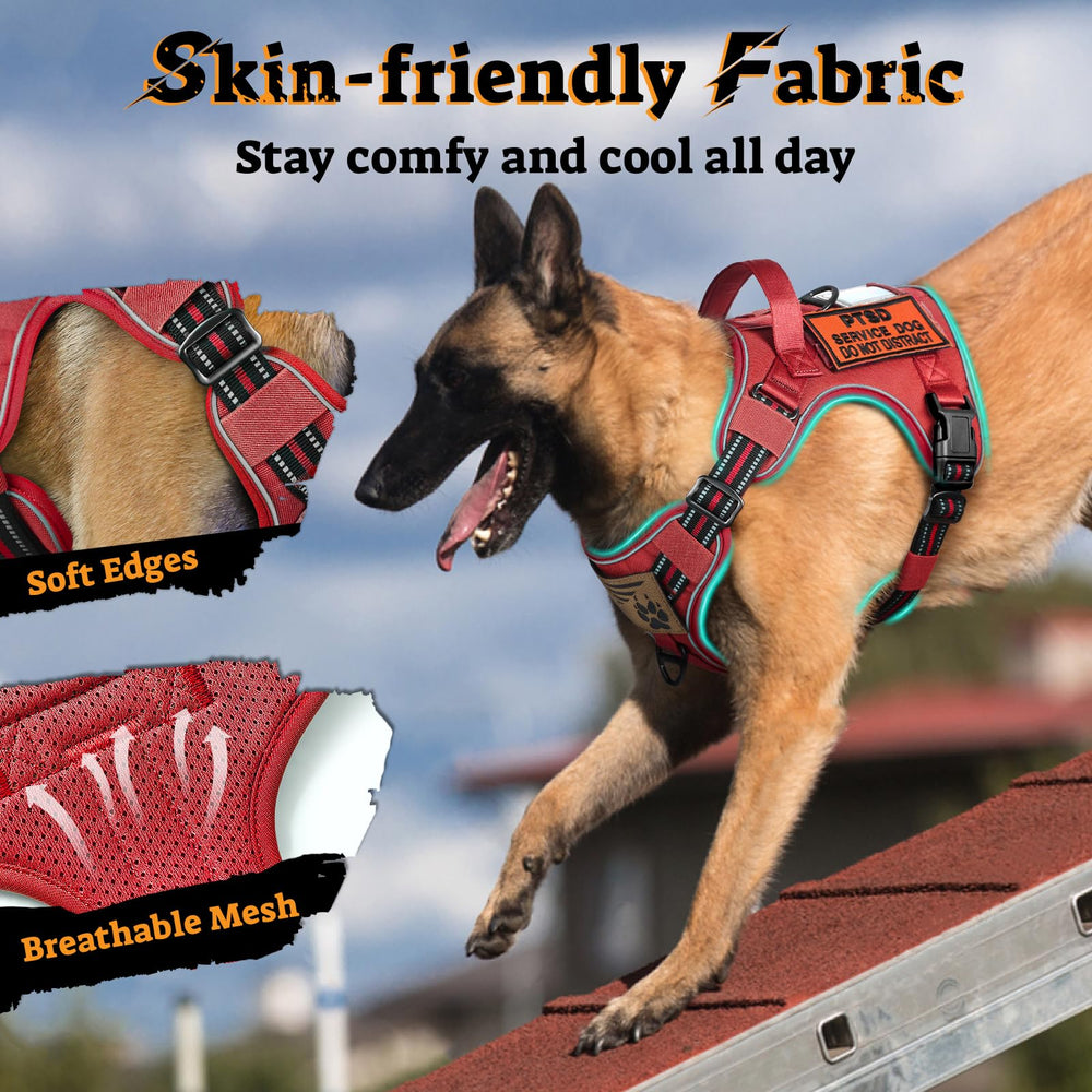 rabbitgoo Tactical Dog Harness large padded control handle.
