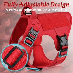 rabbitgoo tactical dog harness with its quick-release buckles visible.