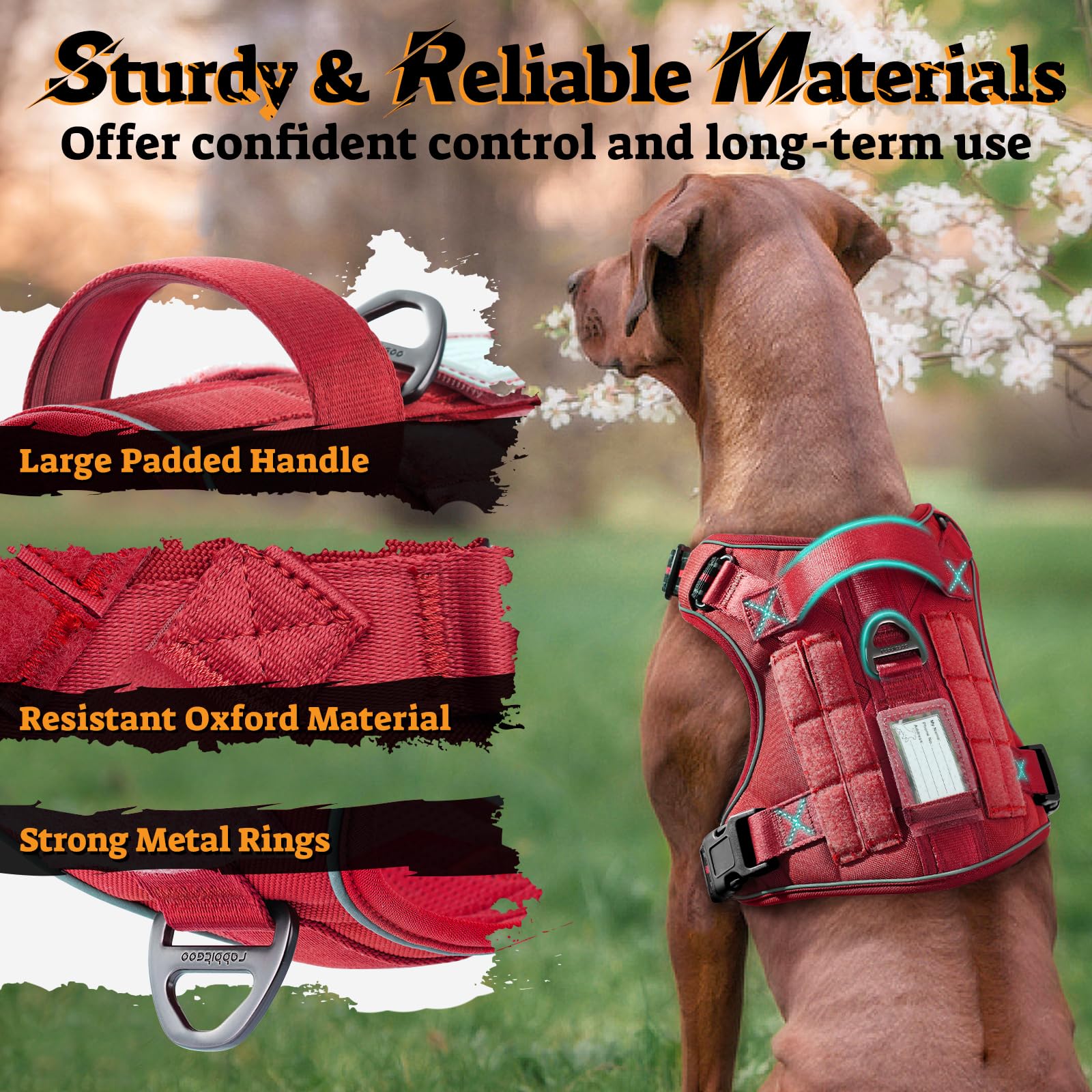 rabbitgoo Tactical Dog Harness quick-release chest buckles.
