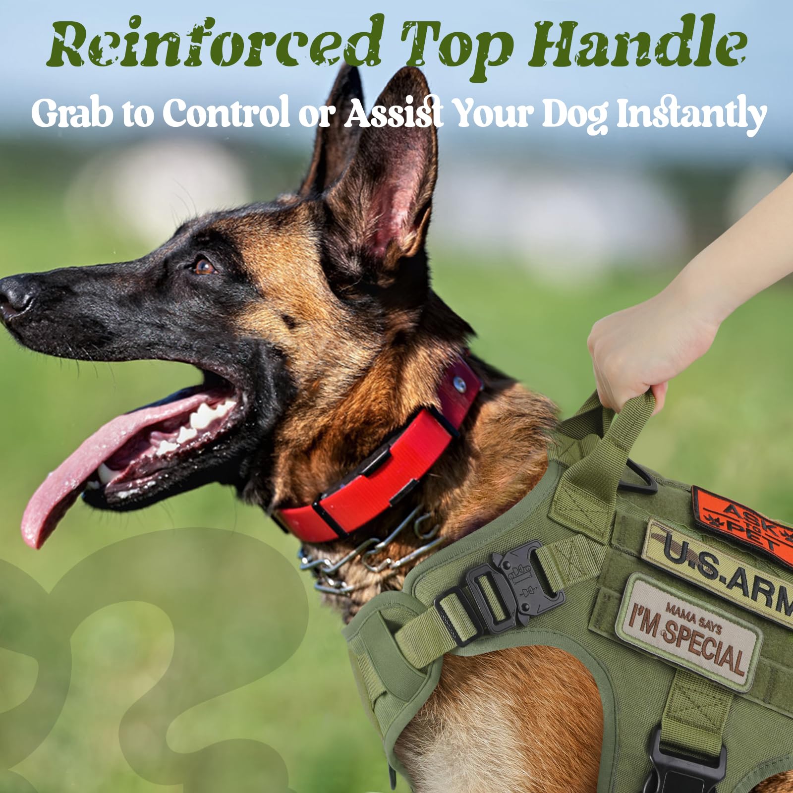 rabbitgoo Tactical Dog Harness side view showing the MOLLE panels.