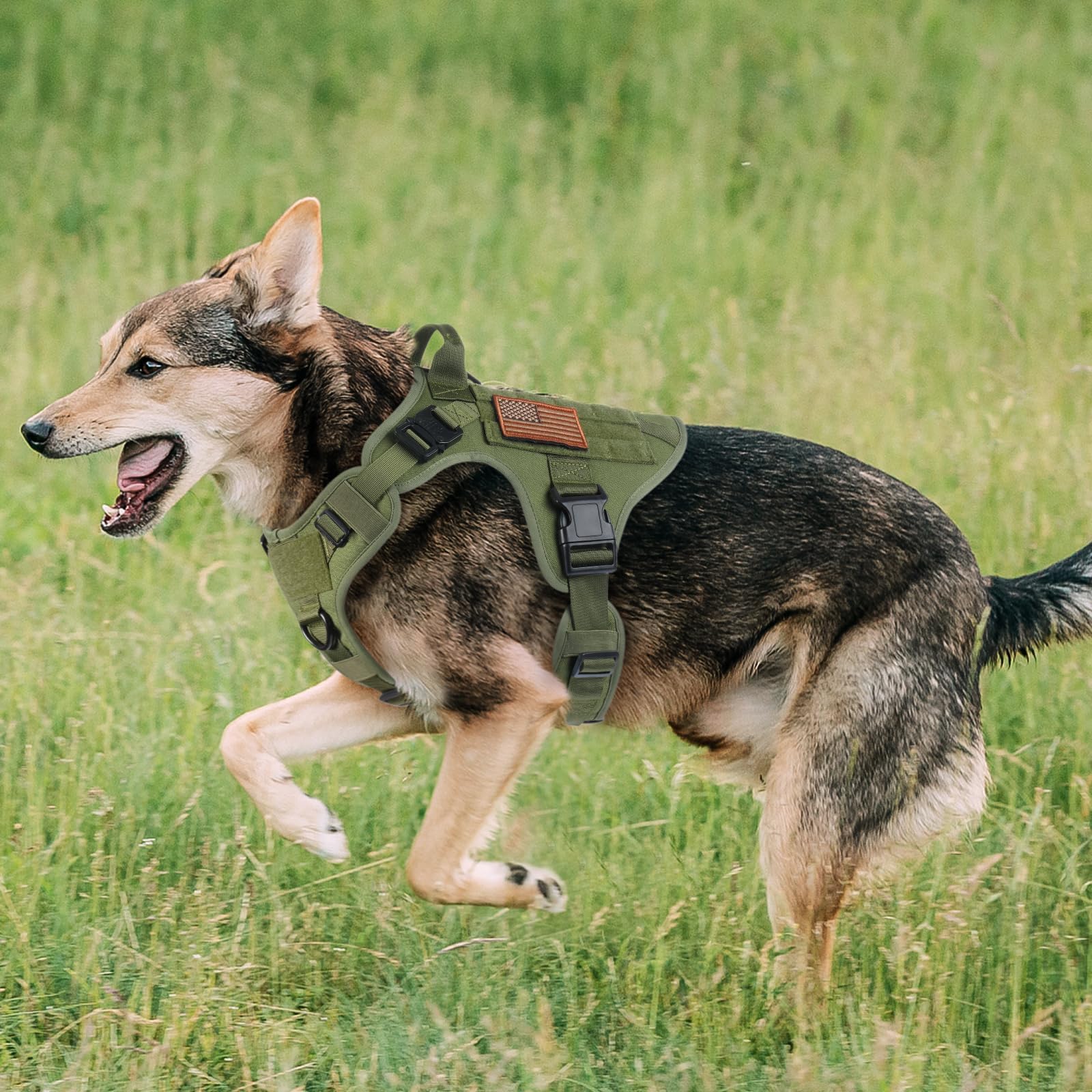 A dog wearing the rabbitgoo Tactical Dog Harness.
