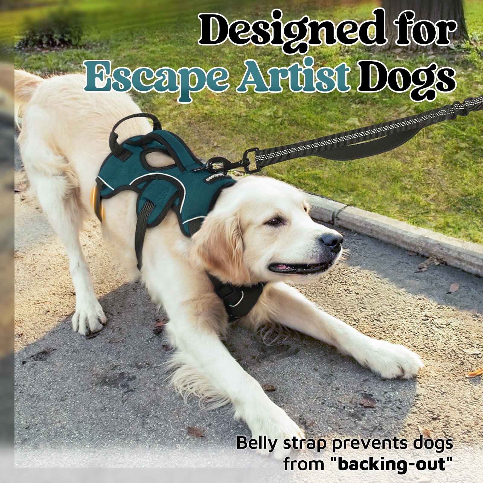 rabbitgoo X-Large dog harness shown from the back.