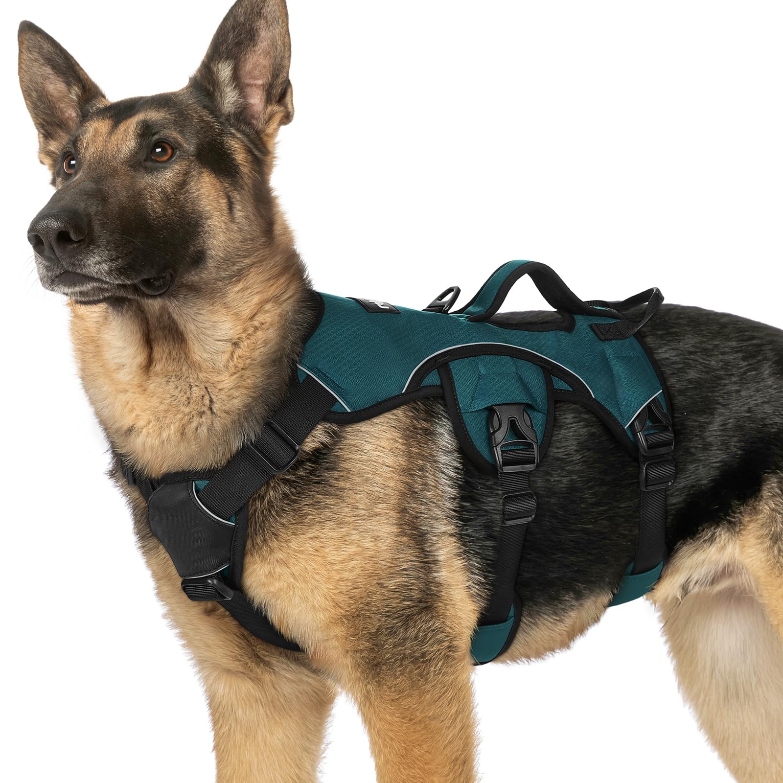 rabbitgoo X-Large dog harness shown from the front.