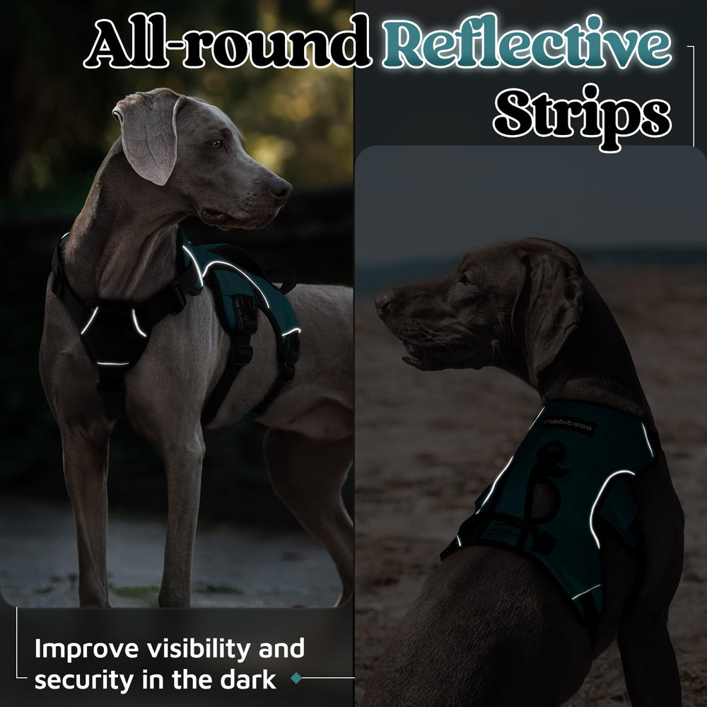 rabbitgoo X-Large dog harness shown being used with a dog.