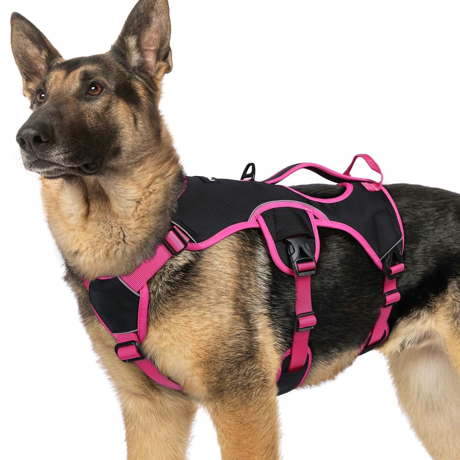 rabbitgoo X-Large dog harness shown from the front.