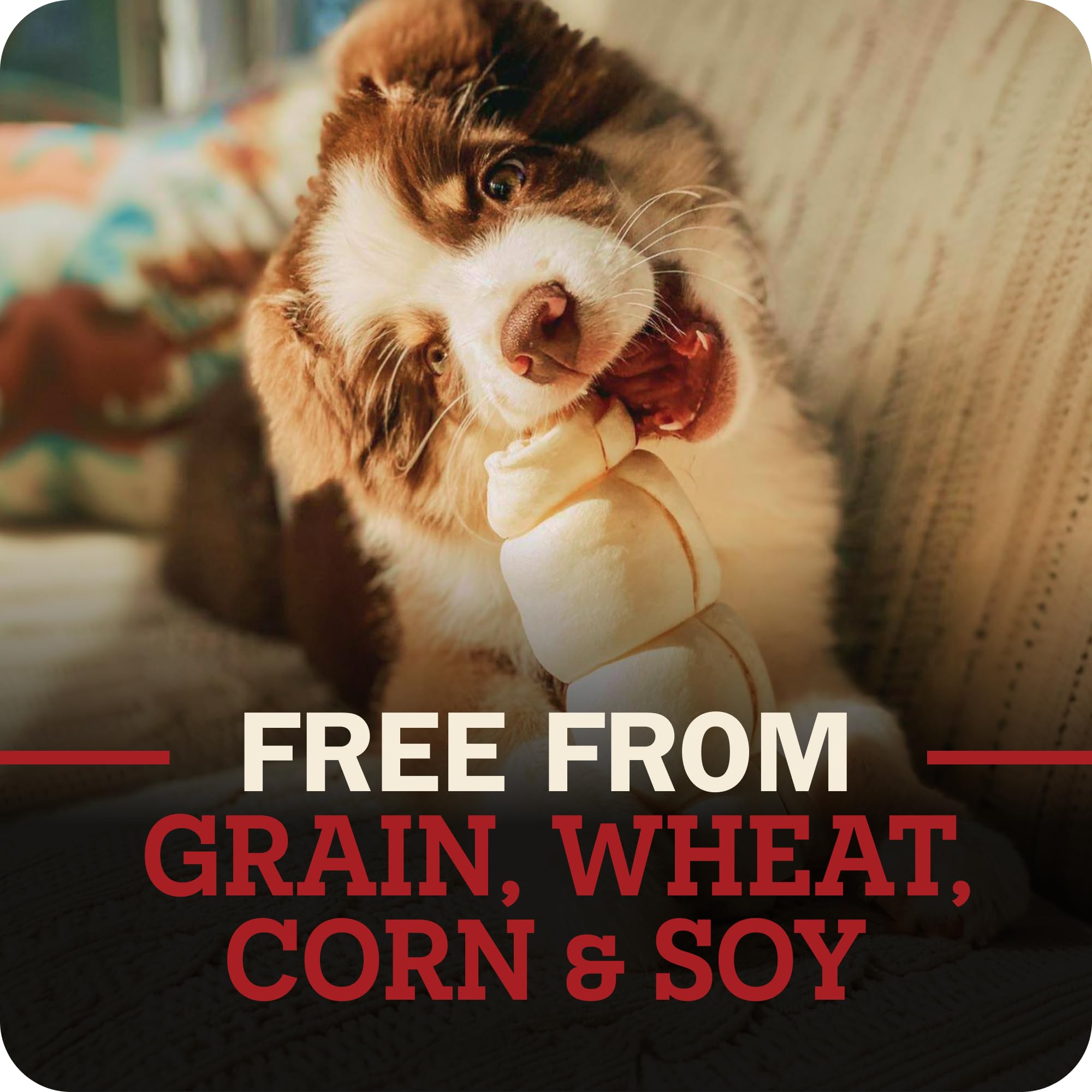 Redbarn Pet Products beef cheek roll featured as a single-ingredient beef cheek chew.