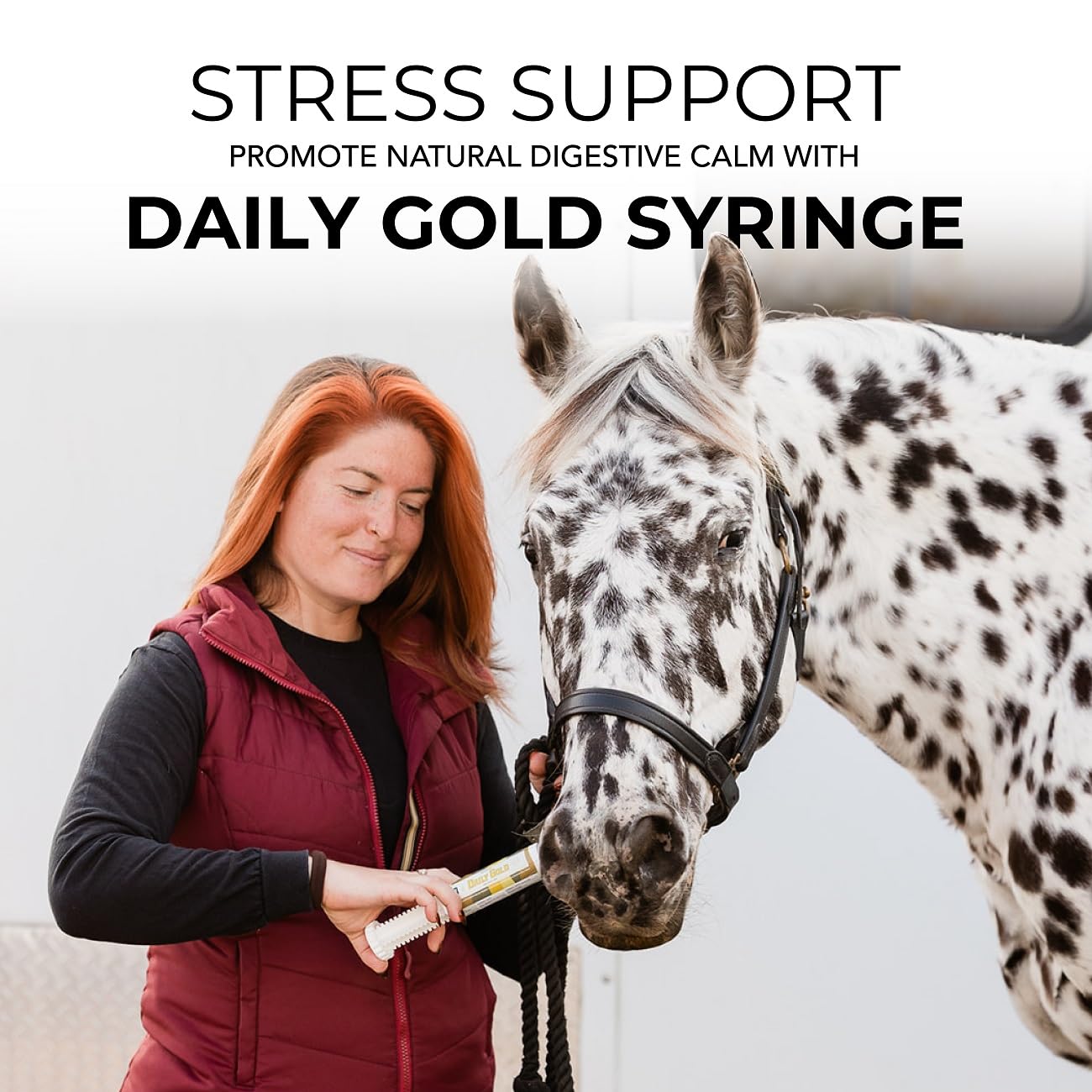 REDMOND Daily Gold single-pack horse paste syringe shown as a complete product.