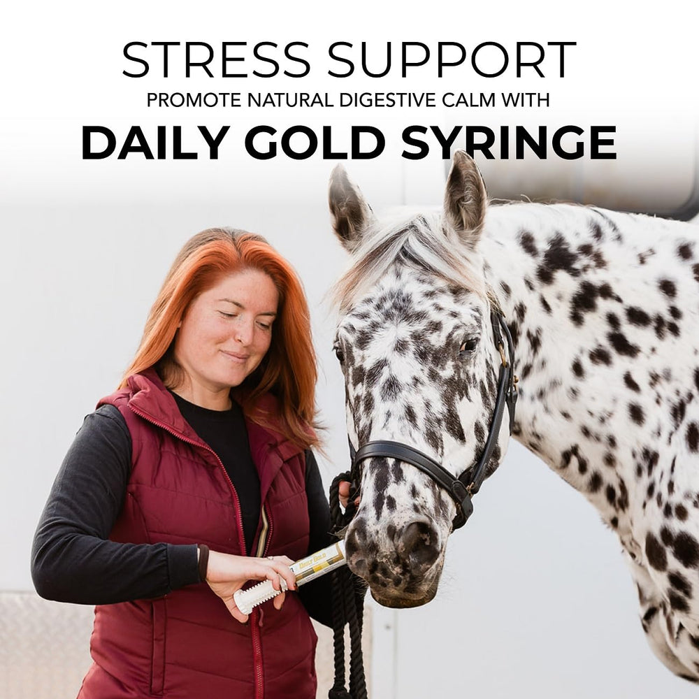 REDMOND Daily Gold single-pack horse paste syringe shown as a complete product.
