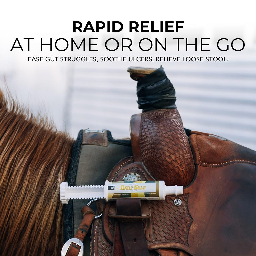 REDMOND Daily Gold horse paste syringe shown from the side.