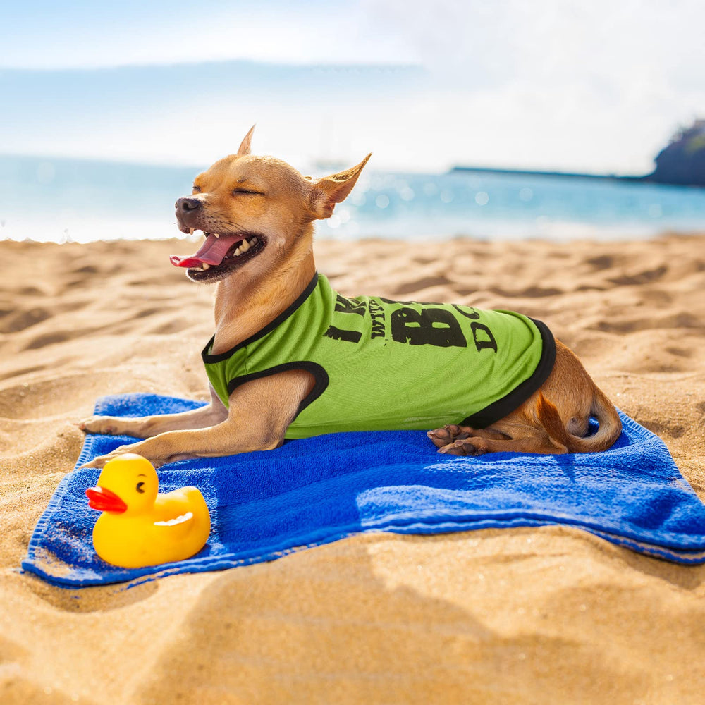 Reginary dog shirts displayed in their bright colors.
