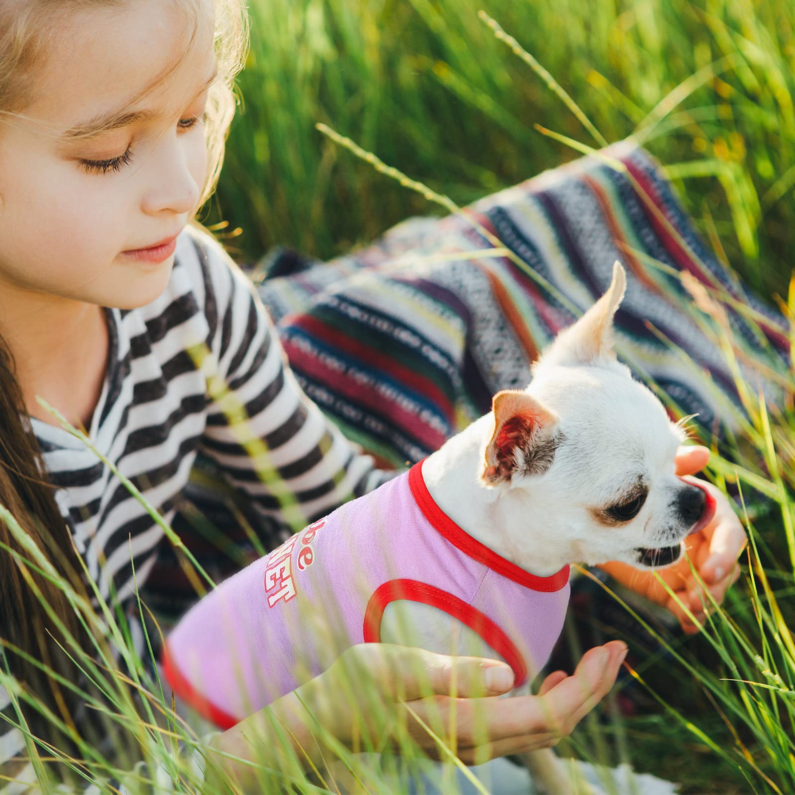 Reginary dog shirts showing the eight-piece set and its varied designs.