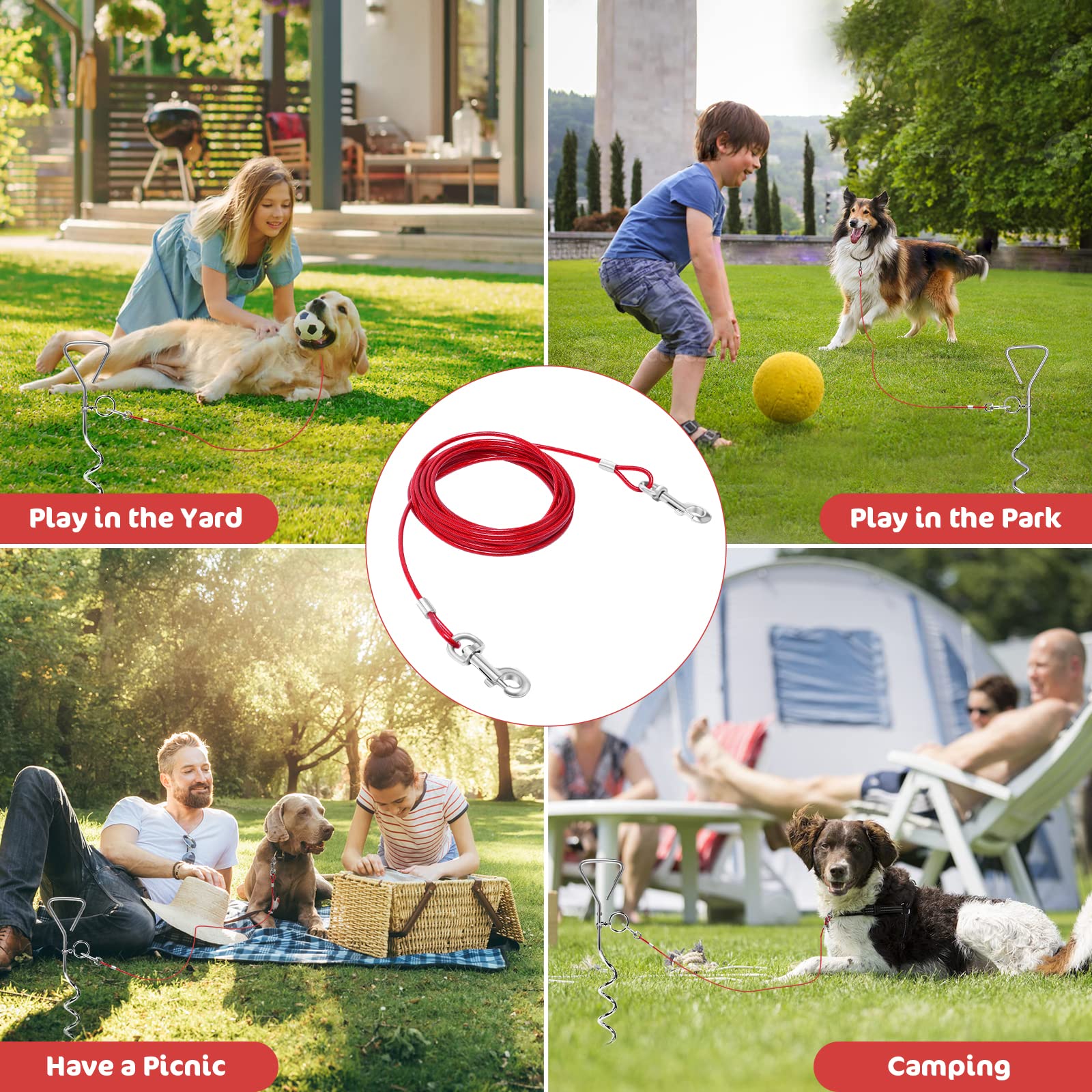 Relux dog tie-out cable and stake set arranged for outdoor yard use.