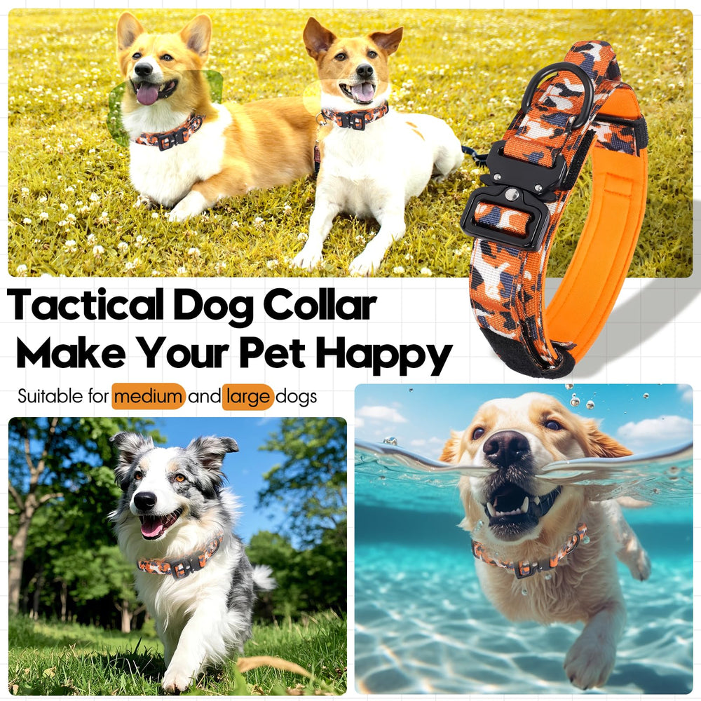 Relux Tactical Dog Collar showing the curved shape of its quick-release buckle.