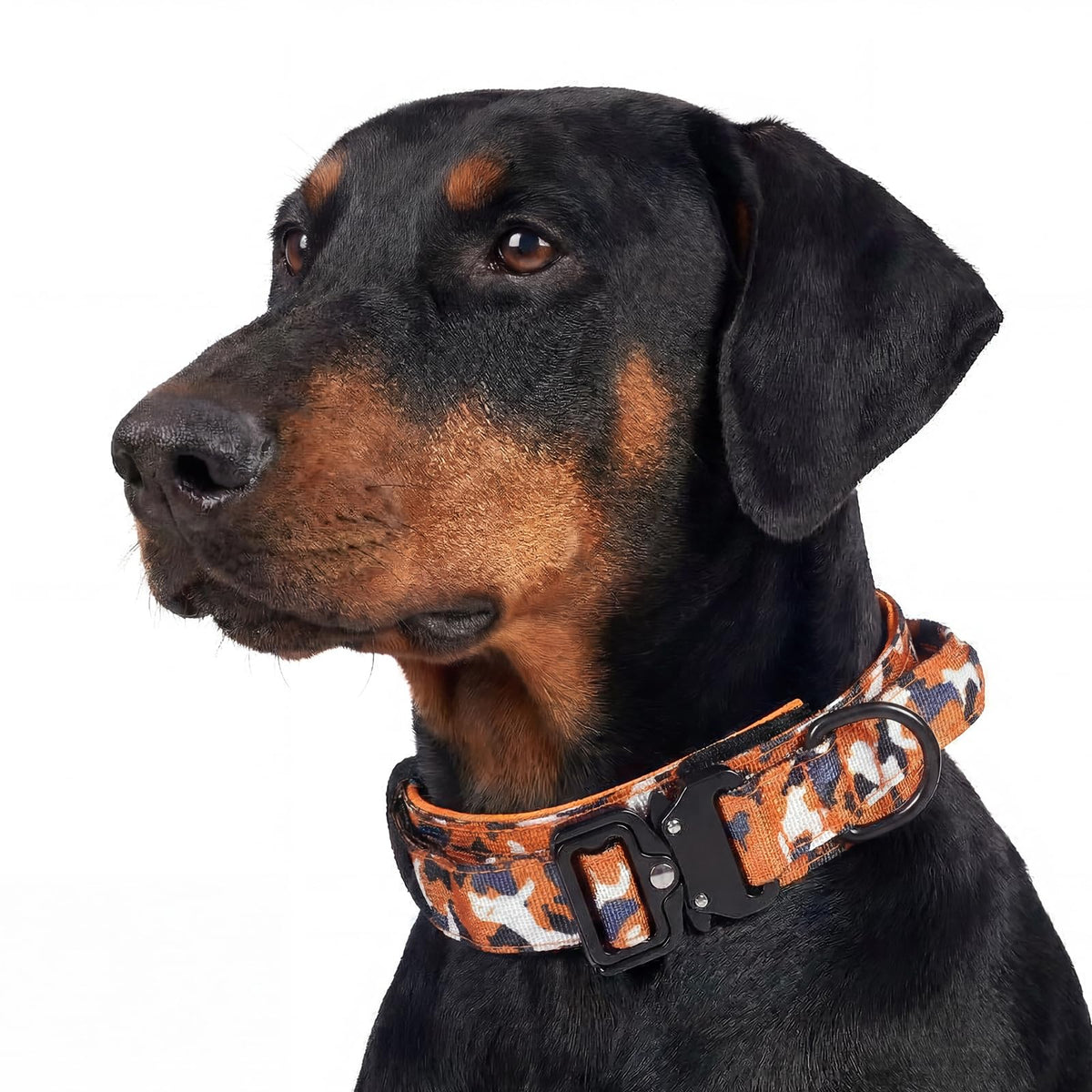 Relux Tactical Dog Collar shown from the front in Camo Orange.