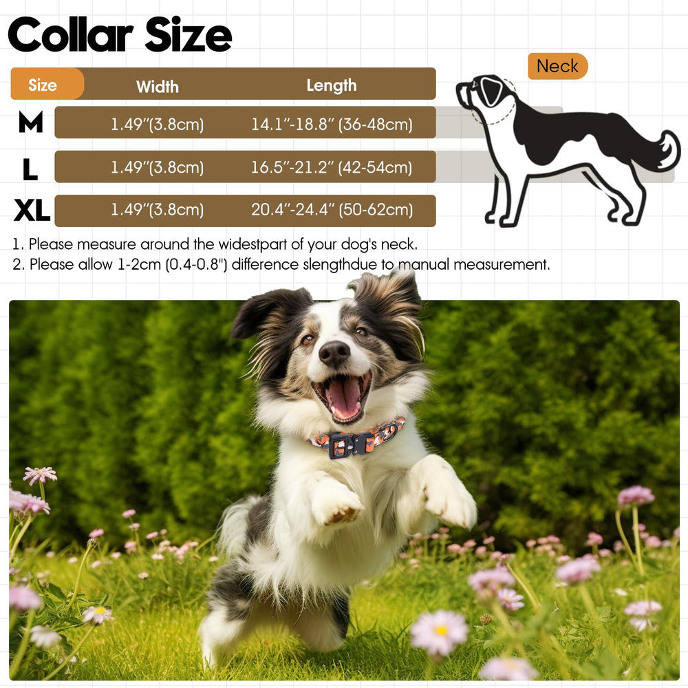 Relux Tactical Dog Collar with its ABS quick-release buckle in focus.