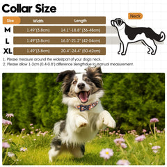 Relux Tactical Dog Collar with its ABS quick-release buckle in focus.