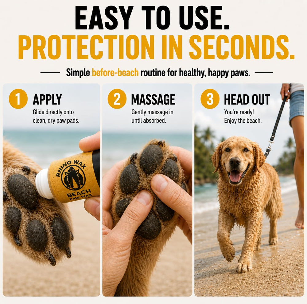 Rhino Wax Beach Paw Wax shown for beach walks near rocks.