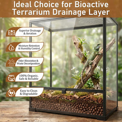 Riare expanded clay balls used as a substrate layer in a terrarium.