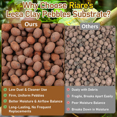 Riare expanded clay balls arranged as a drainage layer in a water setup.