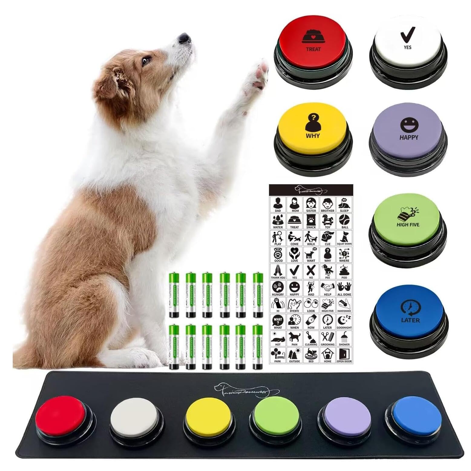 RIBOSY dog buttons set shown from the front with its recordable buttons.