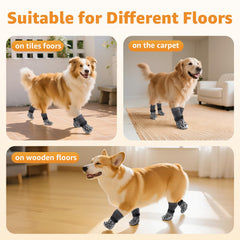 Roilpet dog socks shown as a set of four.