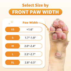 Roilpet dog socks shown worn on a dog's paws.