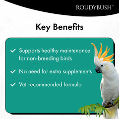RoudyBush Daily Maintenance Bird Food crumbles shown in close-up.