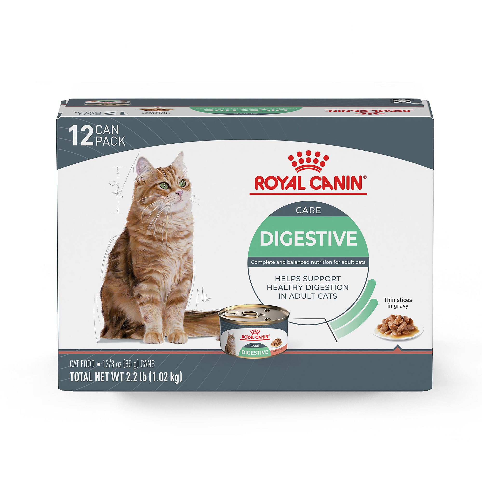 ROYAL CANIN Digestive Care wet cat food shown from the front.