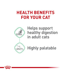 ROYAL CANIN Digestive Care wet cat food shown with its gravy texture.