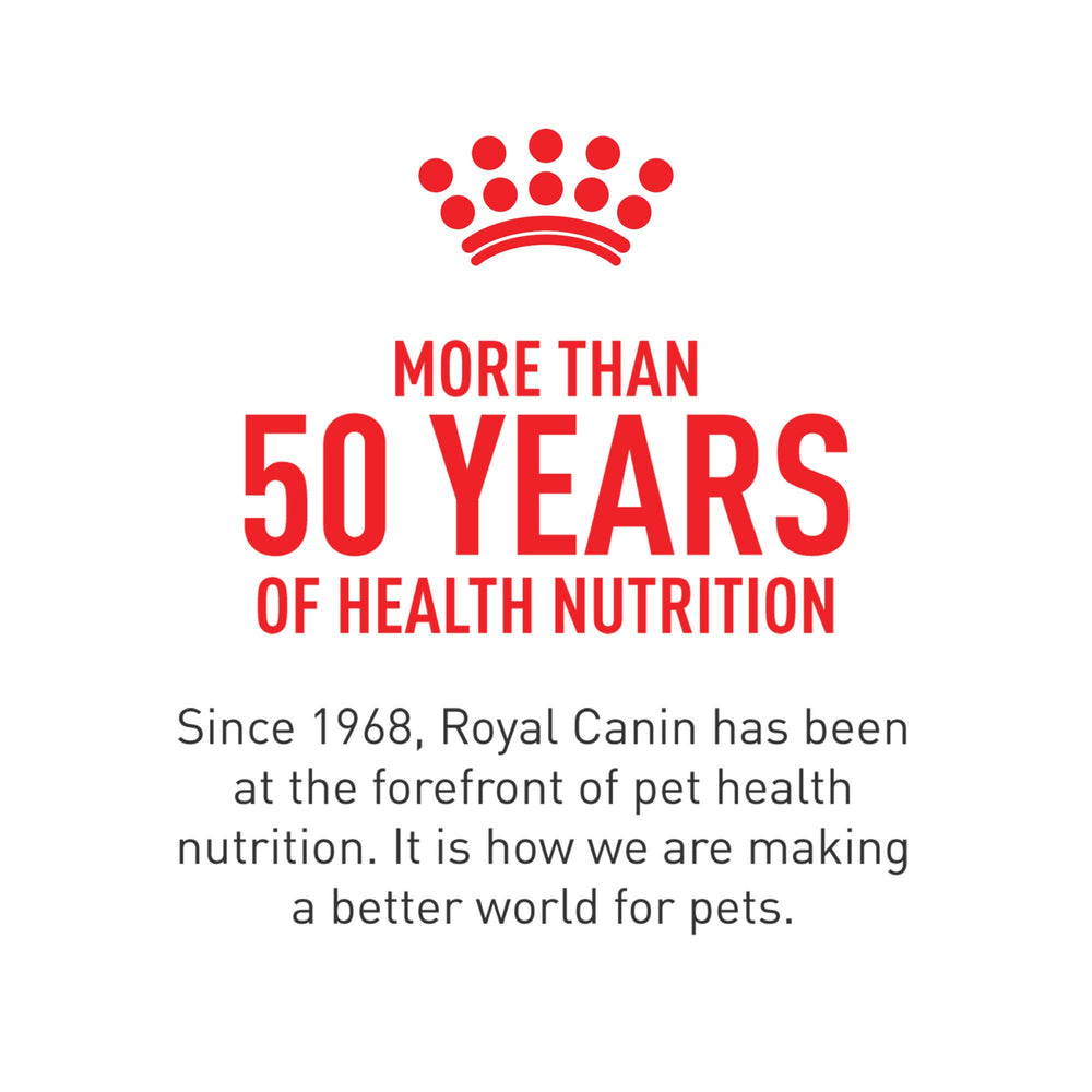 ROYAL CANIN wet cat food variety pack shown from an alternate angle.